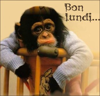 bon lundi si on est lundi